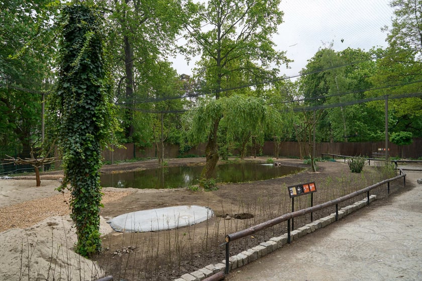 Nowy pawilon i wybieg dla flamingów w zoo Wrocław