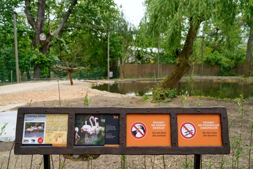 Nowy pawilon i wybieg dla flamingów w zoo Wrocław