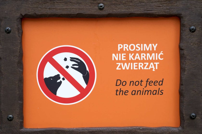Nowy pawilon i wybieg dla flamingów w zoo Wrocław