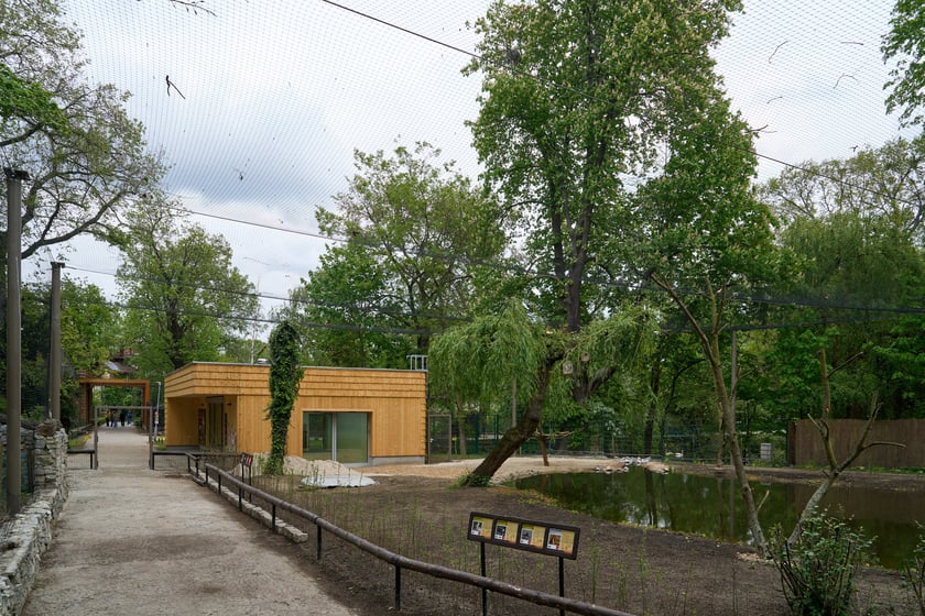 Nowy pawilon i wybieg dla flamingów w zoo Wrocław