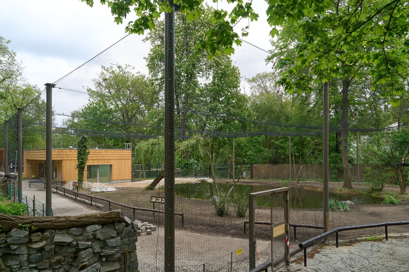 Nowy pawilon i wybieg dla flamingów w zoo Wrocław