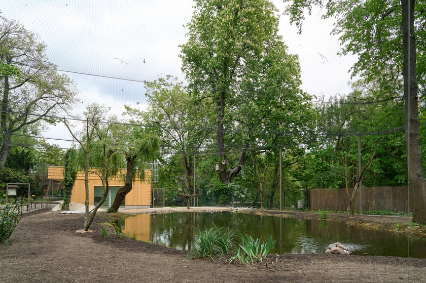 Nowy pawilon i wybieg dla flamingów w zoo Wrocław