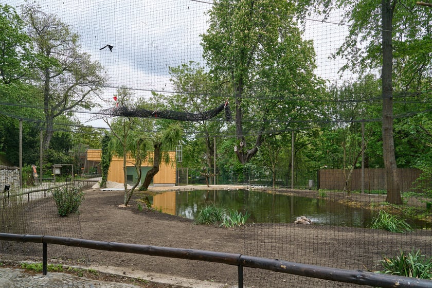 Nowy pawilon i wybieg dla flamingów w zoo Wrocław