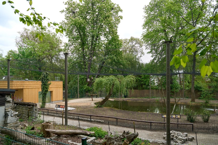 Nowy pawilon i wybieg dla flamingów w zoo Wrocław