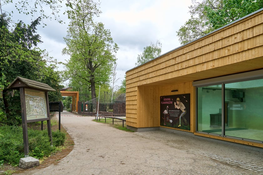Nowy pawilon i wybieg dla flamingów w zoo Wrocław