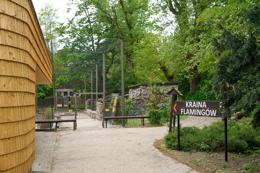 Nowy pawilon i wybieg dla flamingów w zoo Wrocław