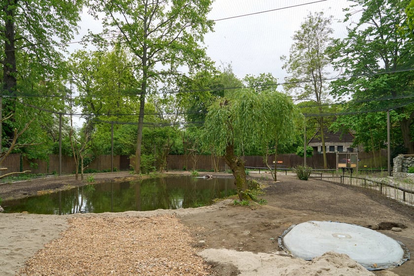 Nowy pawilon i wybieg dla flamingów w zoo Wrocław