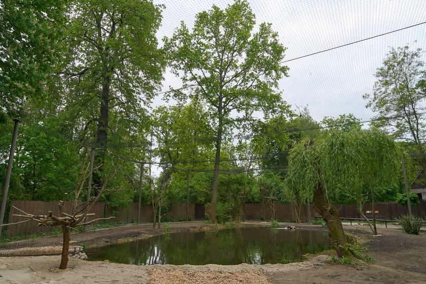 Nowy pawilon i wybieg dla flamingów w zoo Wrocław