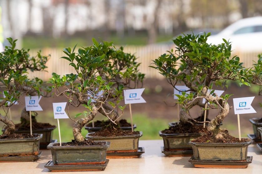 Sadzenie Mikrolasu Miyawaki we Wrocławiu, 21 marca 2024 roku