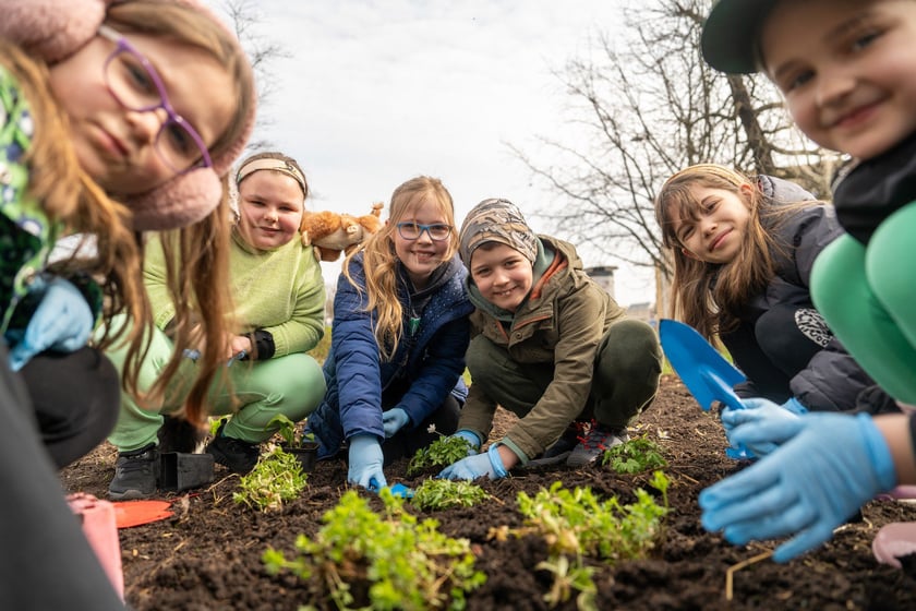 Sadzenie Mikrolasu Miyawaki we Wrocławiu, 21 marca 2024 roku