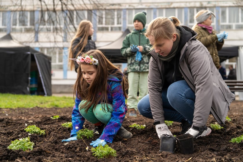 Sadzenie Mikrolasu Miyawaki we Wrocławiu, 21 marca 2024 roku