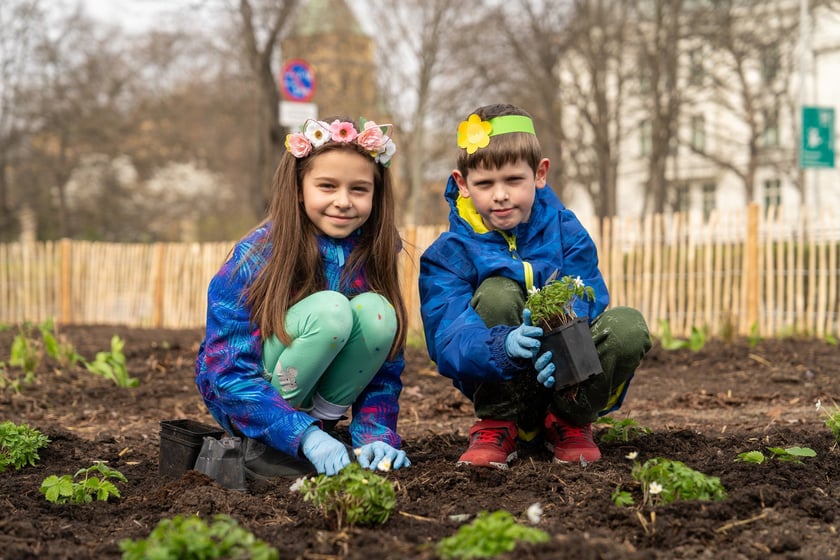 Sadzenie Mikrolasu Miyawaki we Wrocławiu, 21 marca 2024 roku