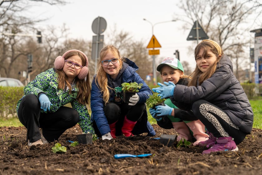 Sadzenie Mikrolasu Miyawaki we Wrocławiu, 21 marca 2024 roku
