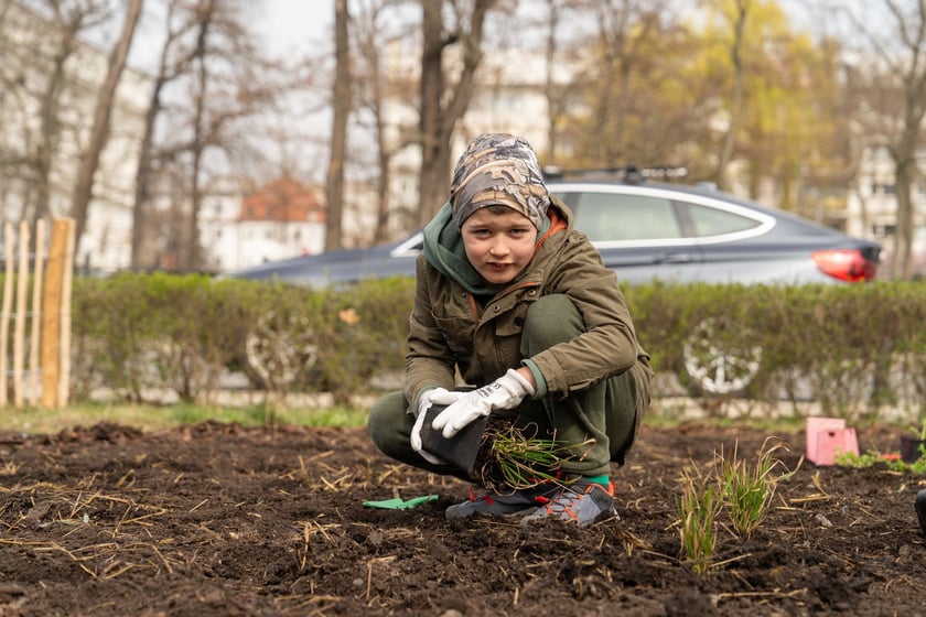 Sadzenie Mikrolasu Miyawaki we Wrocławiu, 21 marca 2024 roku