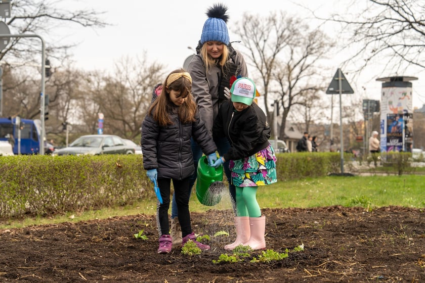 Sadzenie Mikrolasu Miyawaki we Wrocławiu, 21 marca 2024 roku