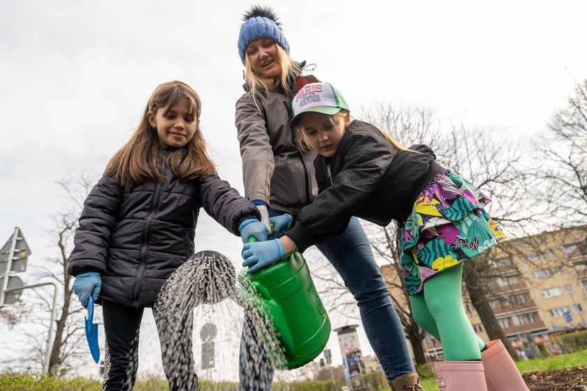 Sadzenie Mikrolasu Miyawaki we Wrocławiu, 21 marca 2024 roku