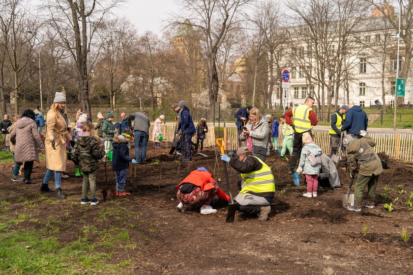 Sadzenie Mikrolasu Miyawaki we Wrocławiu, 21 marca 2024 roku