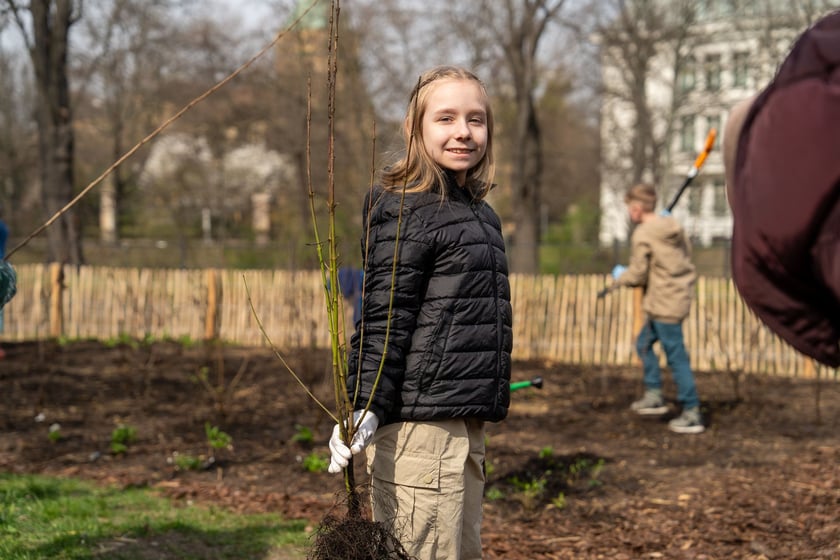 Sadzenie Mikrolasu Miyawaki we Wrocławiu, 21 marca 2024 roku