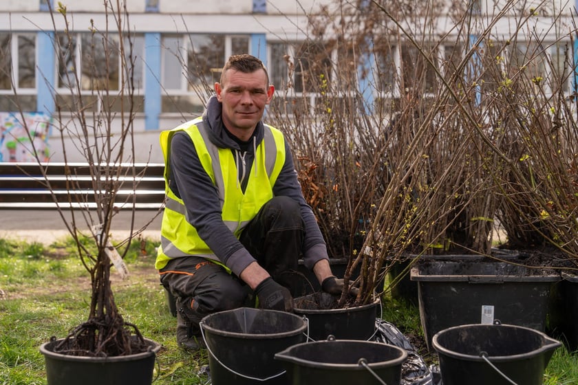 Sadzenie Mikrolasu Miyawaki we Wrocławiu, 21 marca 2024 roku