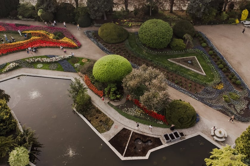Ogr&oacute;d Botaniczny UWr z lotu ptaka