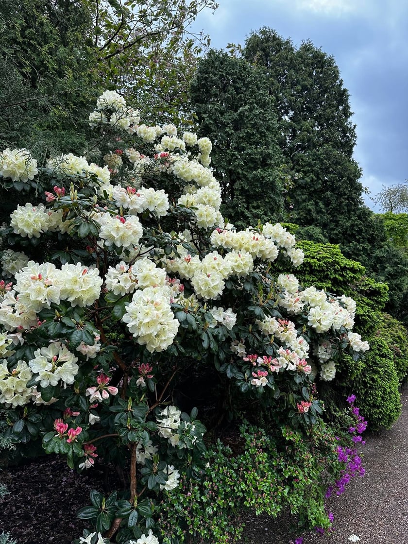 Ogr&oacute;d Botaniczny