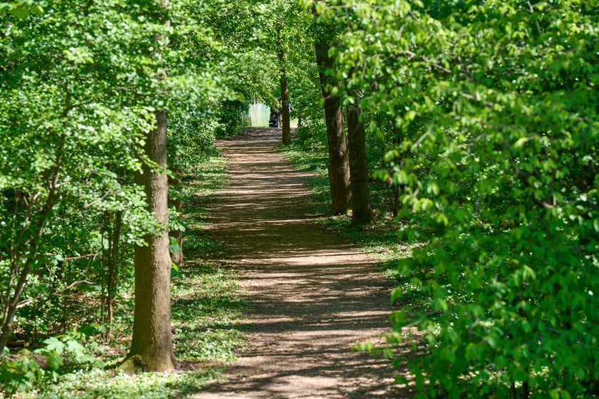 Sprzątanie Lasu Kuźnickiego, 27.04.2024