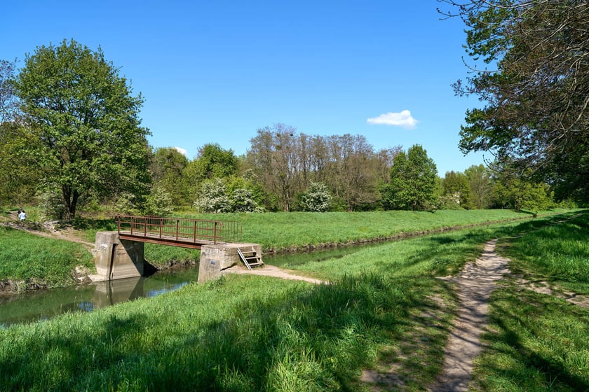 Sprzątanie Lasu Kuźnickiego, 27.04.2024