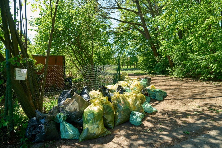 Sprzątanie Lasu Kuźnickiego, 27.04.2024