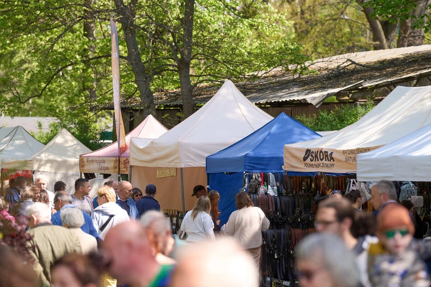 kiermasz ogrodniczy na Partynicach, 28.04.2024
