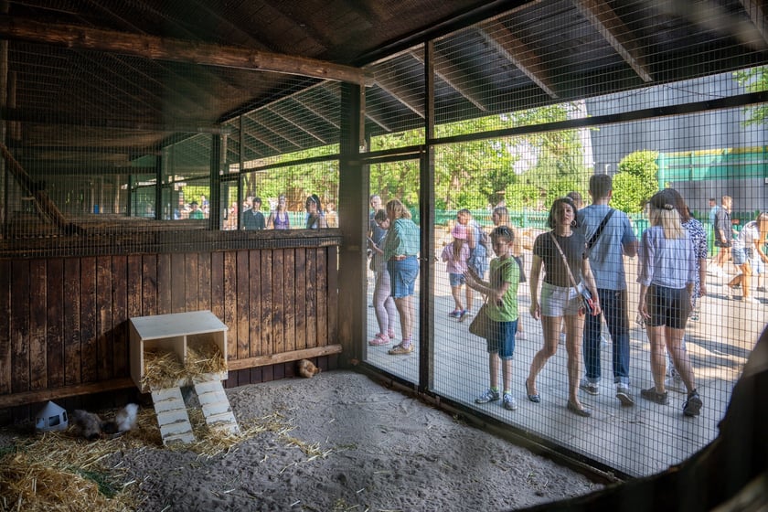 Dziedziniec Zwierzęcy w Zoo Wrocław po ponownym otwarciu