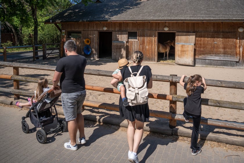 Dziedziniec Zwierzęcy w Zoo Wrocław po ponownym otwarciu