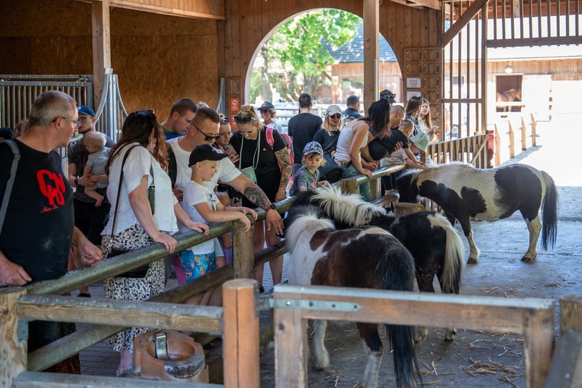 Dziedziniec Zwierzęcy w Zoo Wrocław po ponownym otwarciu