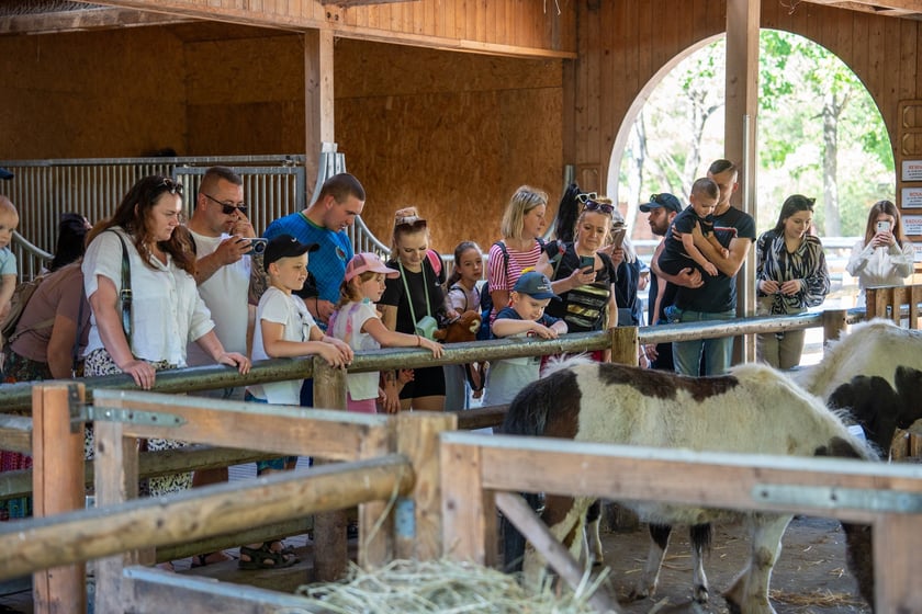 Dziedziniec Zwierzęcy w Zoo Wrocław po ponownym otwarciu