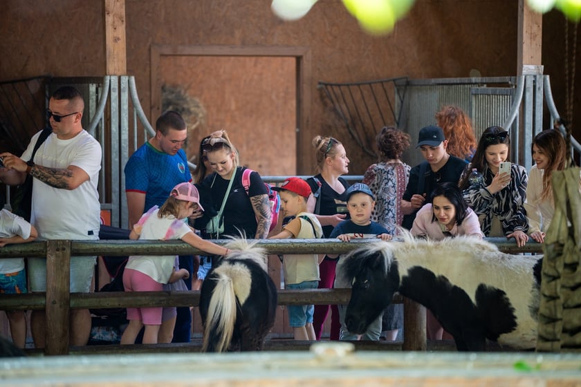 Dziedziniec Zwierzęcy w Zoo Wrocław po ponownym otwarciu