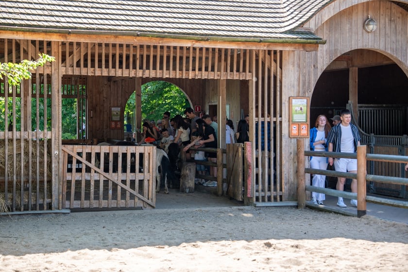 Dziedziniec Zwierzęcy w Zoo Wrocław po ponownym otwarciu