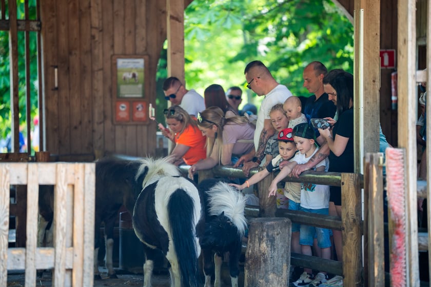 Dziedziniec Zwierzęcy w Zoo Wrocław po ponownym otwarciu