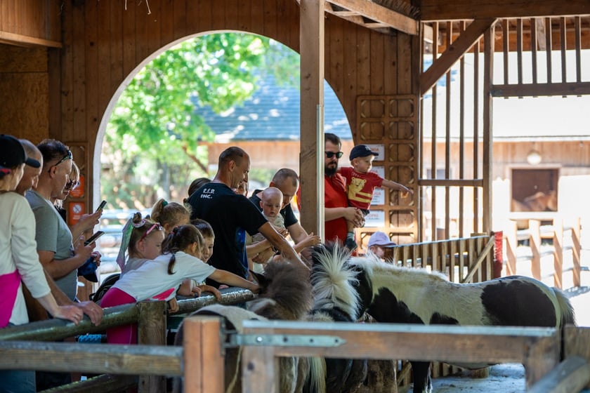 Dziedziniec Zwierzęcy w Zoo Wrocław po ponownym otwarciu