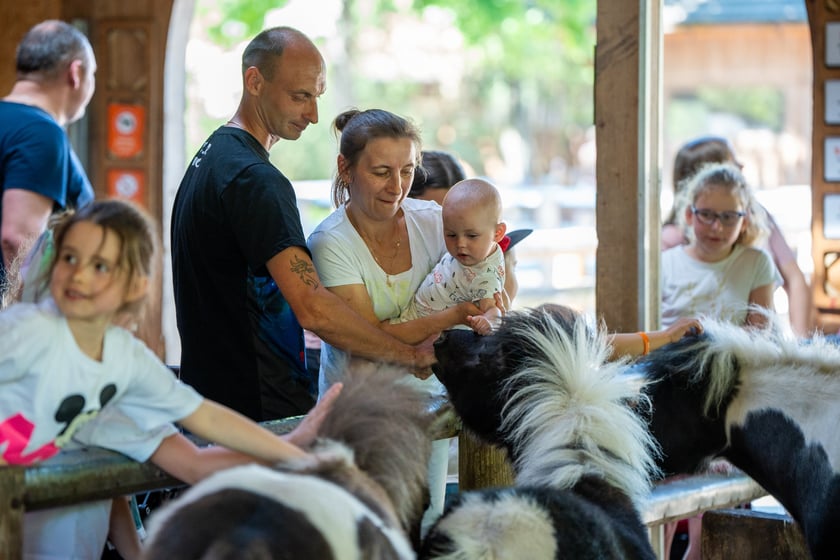 Dziedziniec Zwierzęcy w Zoo Wrocław po ponownym otwarciu