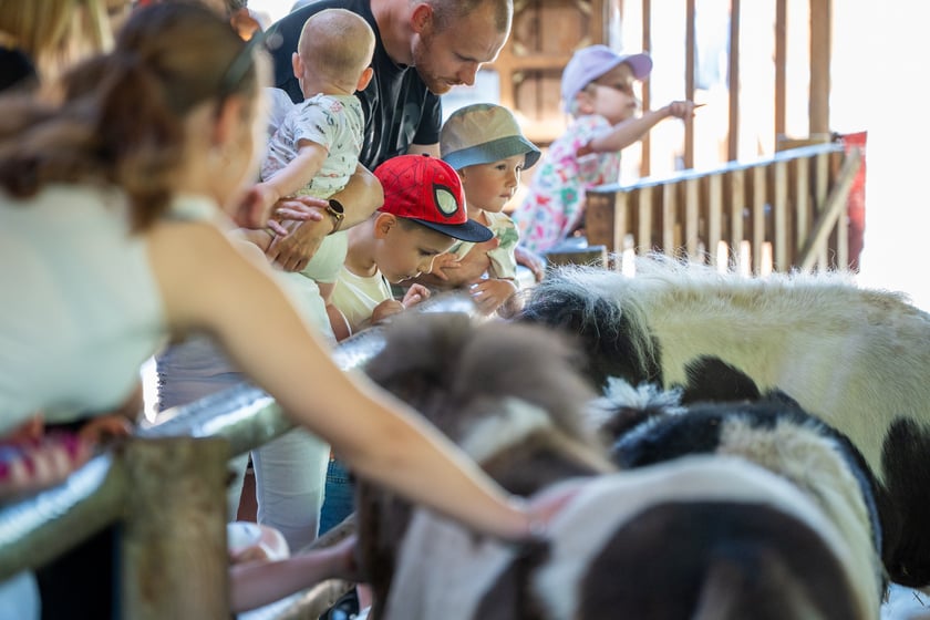 Dziedziniec Zwierzęcy w Zoo Wrocław po ponownym otwarciu