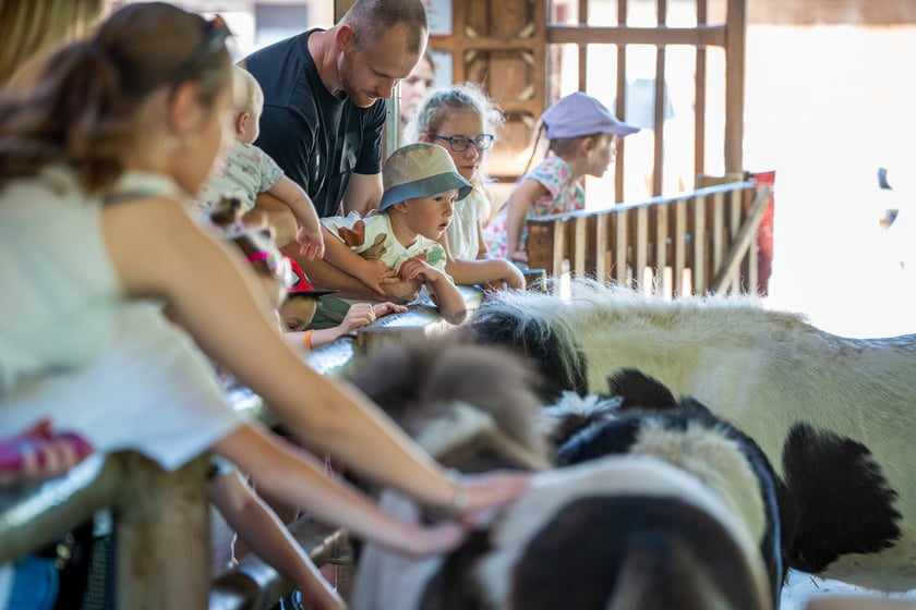 Dziedziniec Zwierzęcy w Zoo Wrocław po ponownym otwarciu