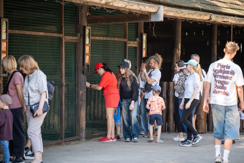 Dziedziniec Zwierzęcy w Zoo Wrocław po ponownym otwarciu