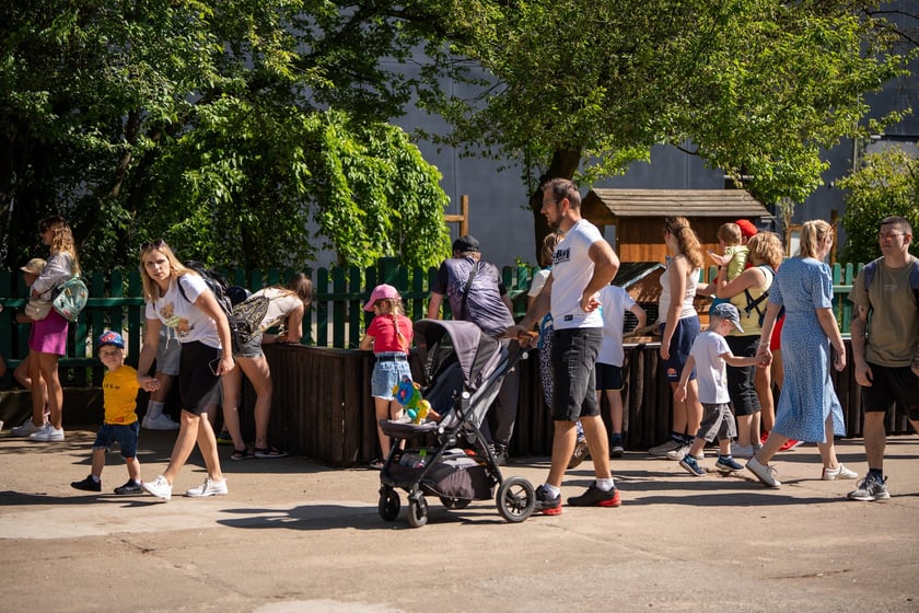 Dziedziniec Zwierzęcy w Zoo Wrocław po ponownym otwarciu