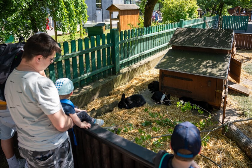 Dziedziniec Zwierzęcy w Zoo Wrocław po ponownym otwarciu