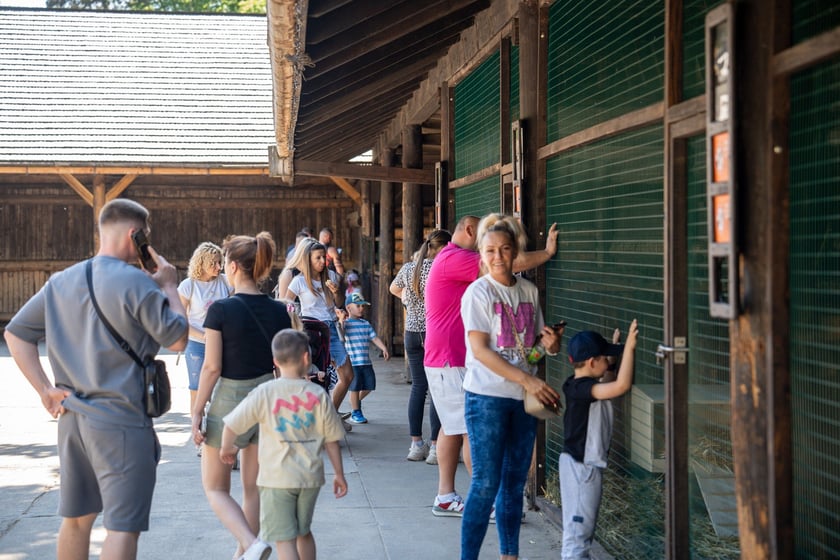 Dziedziniec Zwierzęcy w Zoo Wrocław po ponownym otwarciu