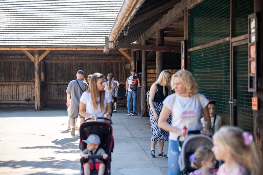 Dziedziniec Zwierzęcy w Zoo Wrocław po ponownym otwarciu