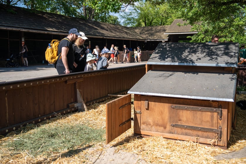 Dziedziniec Zwierzęcy w Zoo Wrocław po ponownym otwarciu