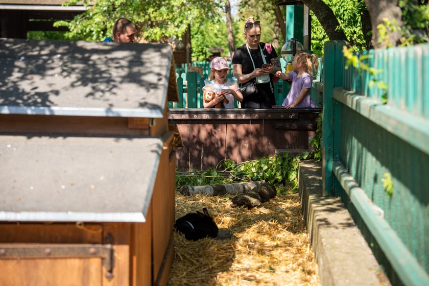 Dziedziniec Zwierzęcy w Zoo Wrocław po ponownym otwarciu