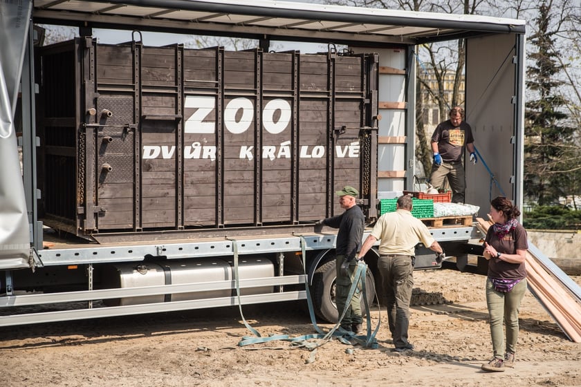 Transport Maruski w 2019 roku