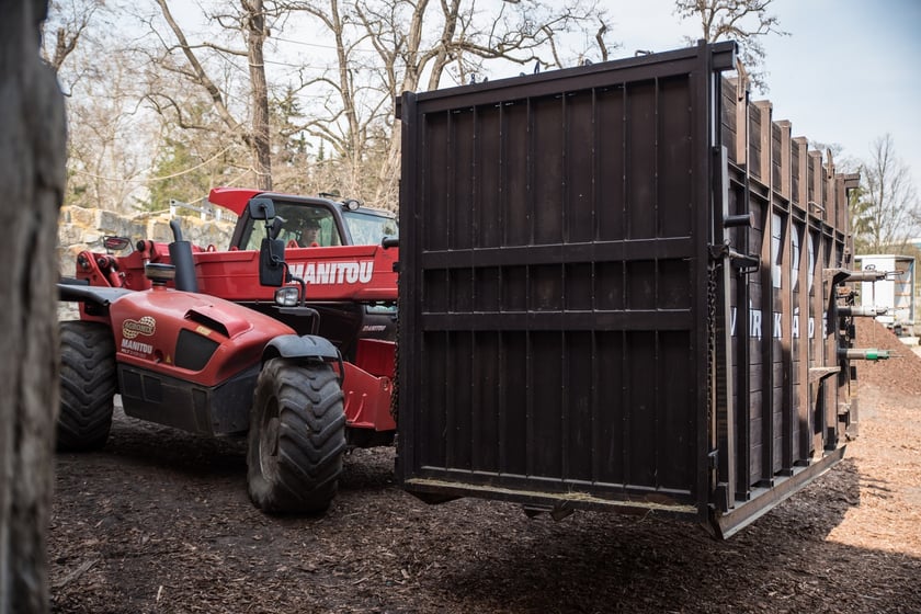 Transport Maruski w 2019 roku
