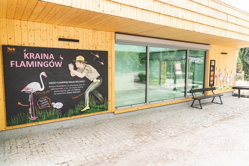 Nowy dom flamingów